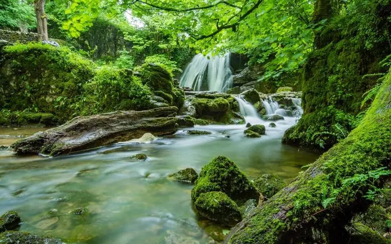 高质量智能系统高标准